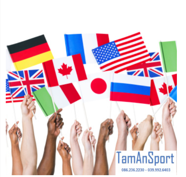 Cờ cầm tay (cờ vẫy) các Quốc gia cổ vũ thể thao/chào đón đại biểu/học Quốc kỳ các nước 20*30cm